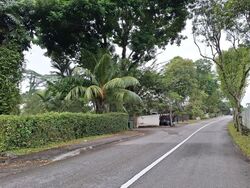 Caldecott Hill Estate (D11), Detached #513436731